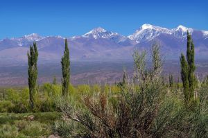 Unterwegs in der Provinz Mendoza