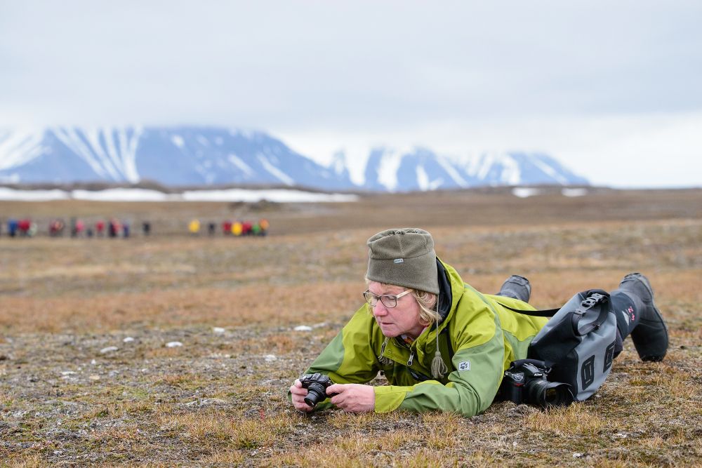 Insel der Kontraste: grüne Tundra mit Blümchen und Wandergelegenheiten en masse
