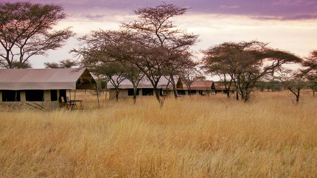 Serengeti Wildcamp