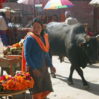 Basarstraßen in Kathmandu