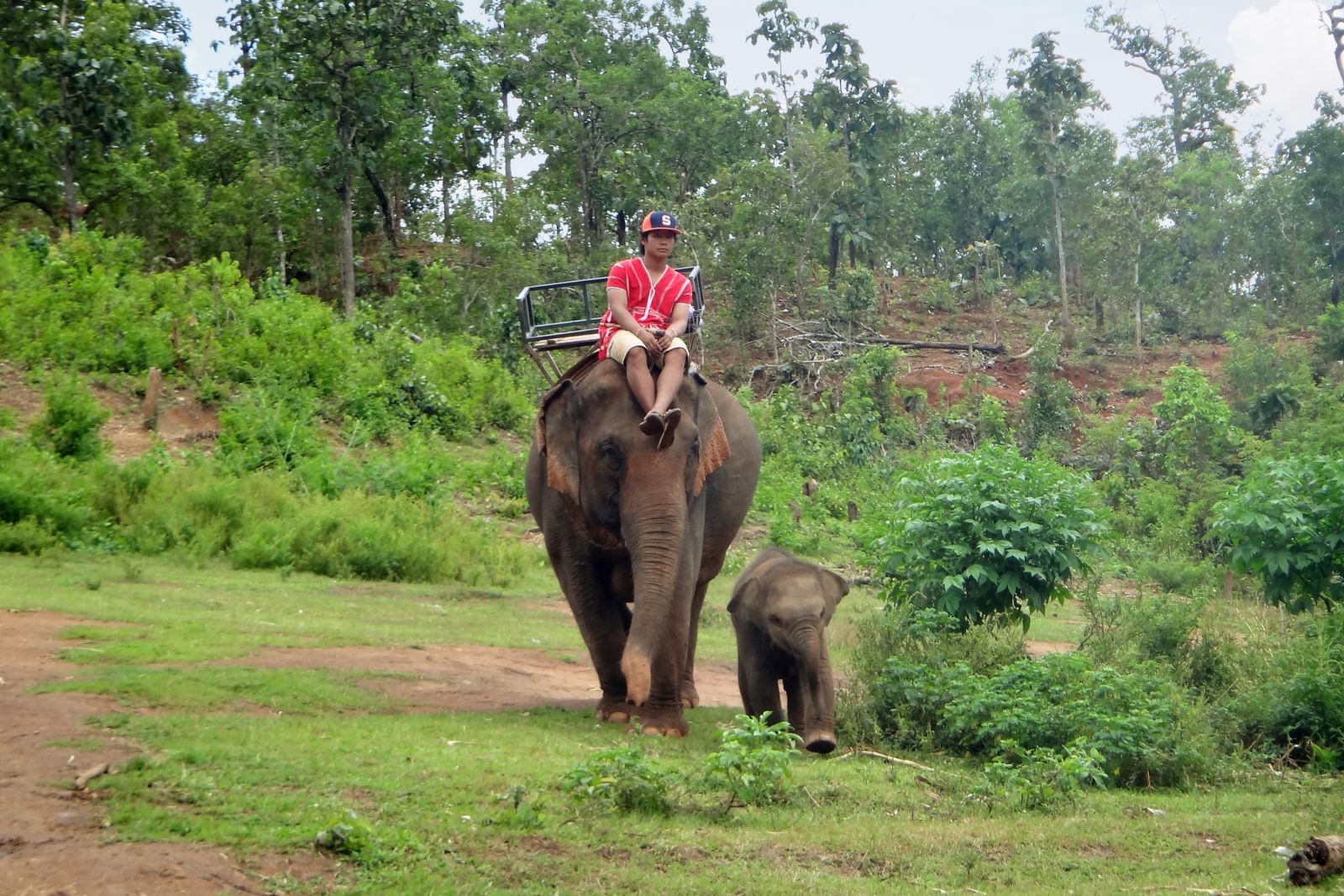 Elefantencamp in Nordthailand