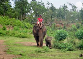 Elefantencamp in Nordthailand