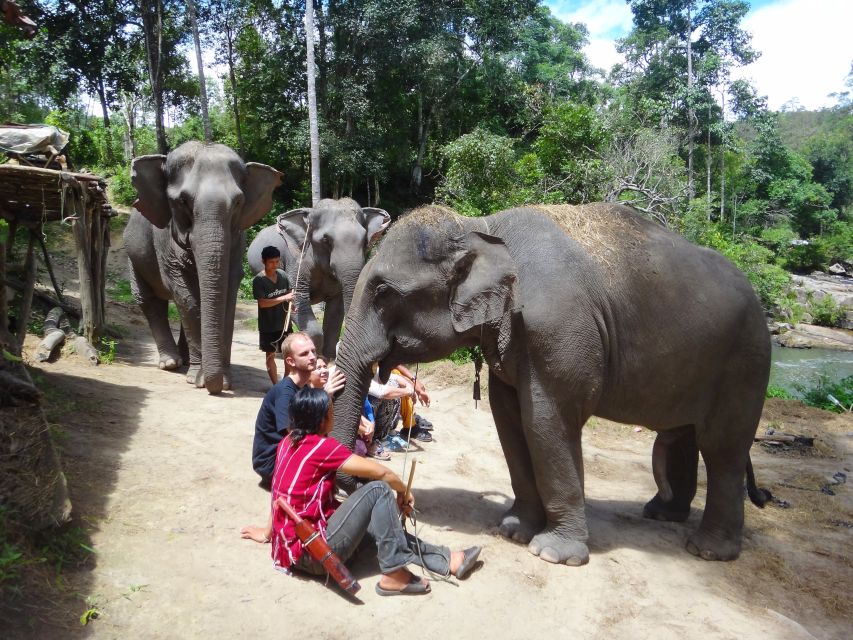 Elefanten-Training in Nordthailand