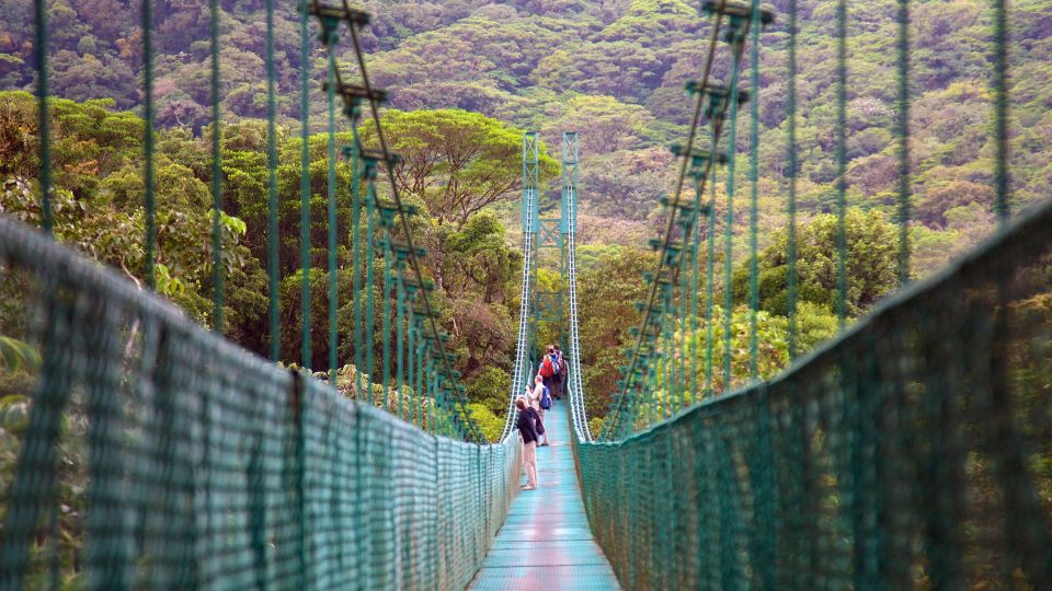 Hängebrücken in Monteverde - der Dschungel aus der Vogelperspektive