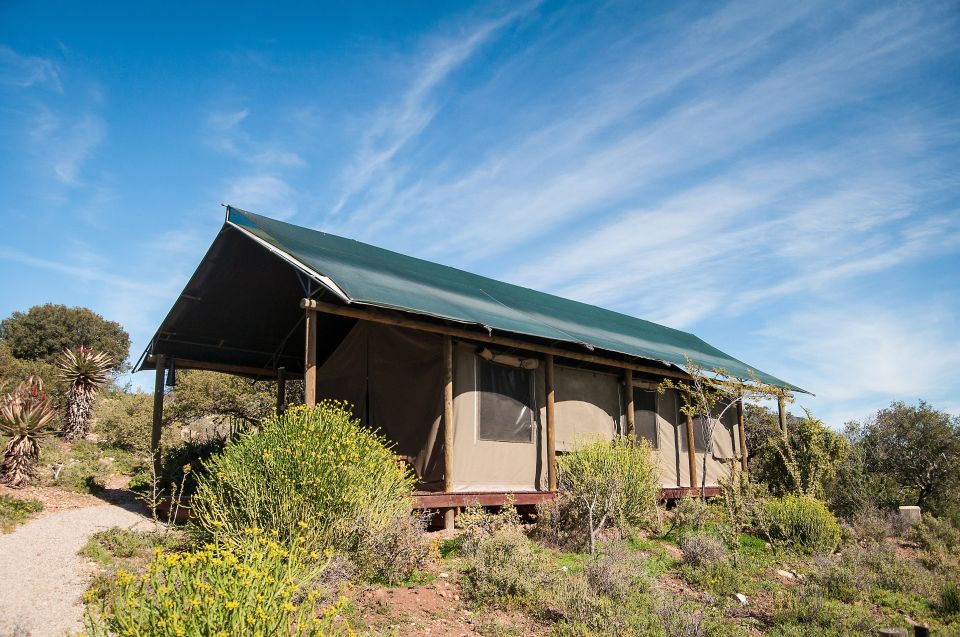 Luxuriöse Zeltunterkunft in der Buffelsdrift Game Lodge
