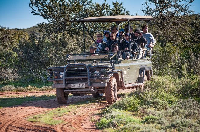 Unterwegs im Safarifahrzeug in der Buffelsdrift Game Lodge