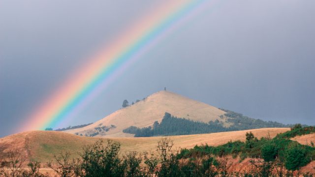 Regenbogen Neuseeland