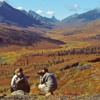 Yukon in Herbstfarben
