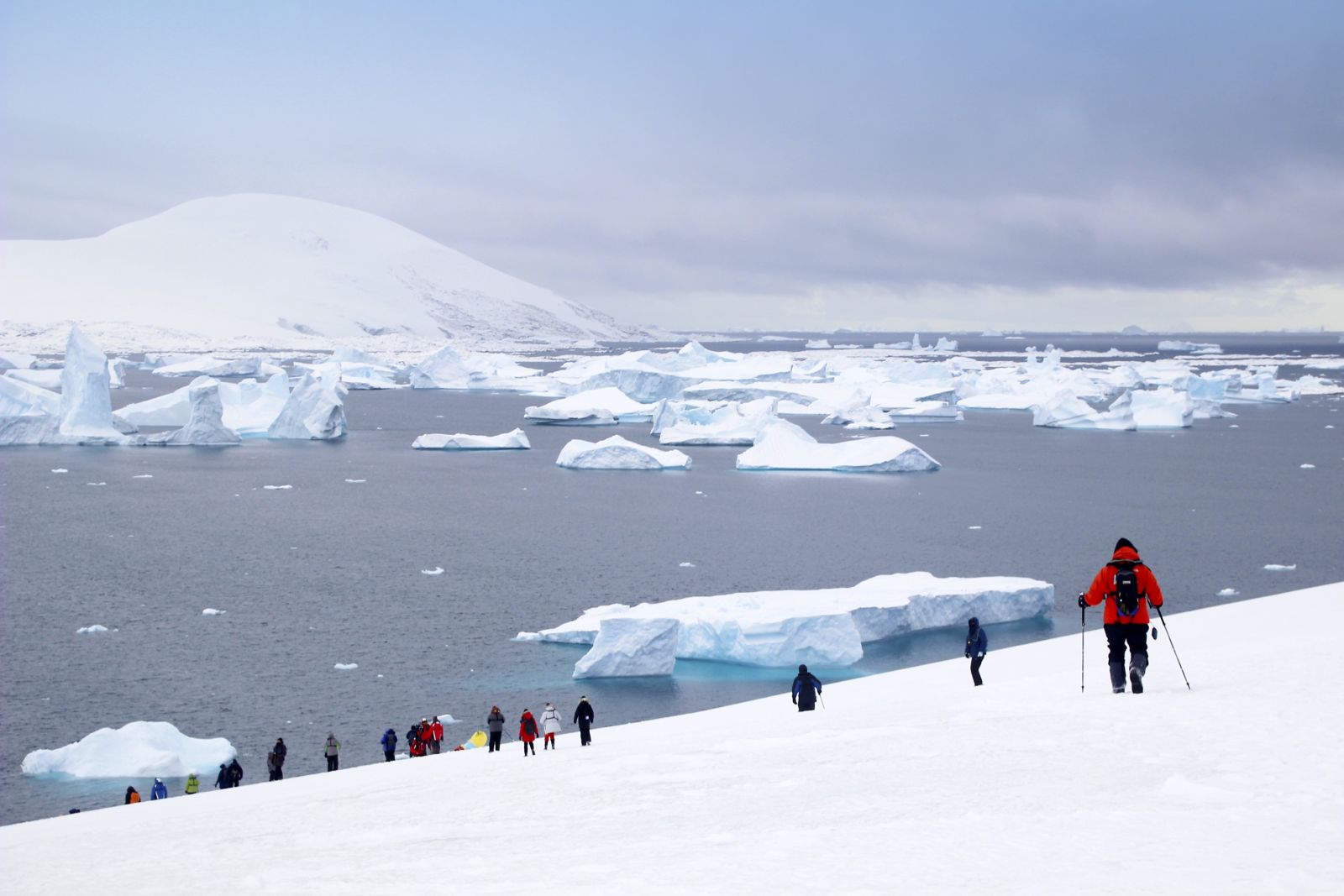 Wanderer vor zahllosen Eissbergen