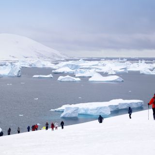 Wanderer vor zahllosen Eissbergen
