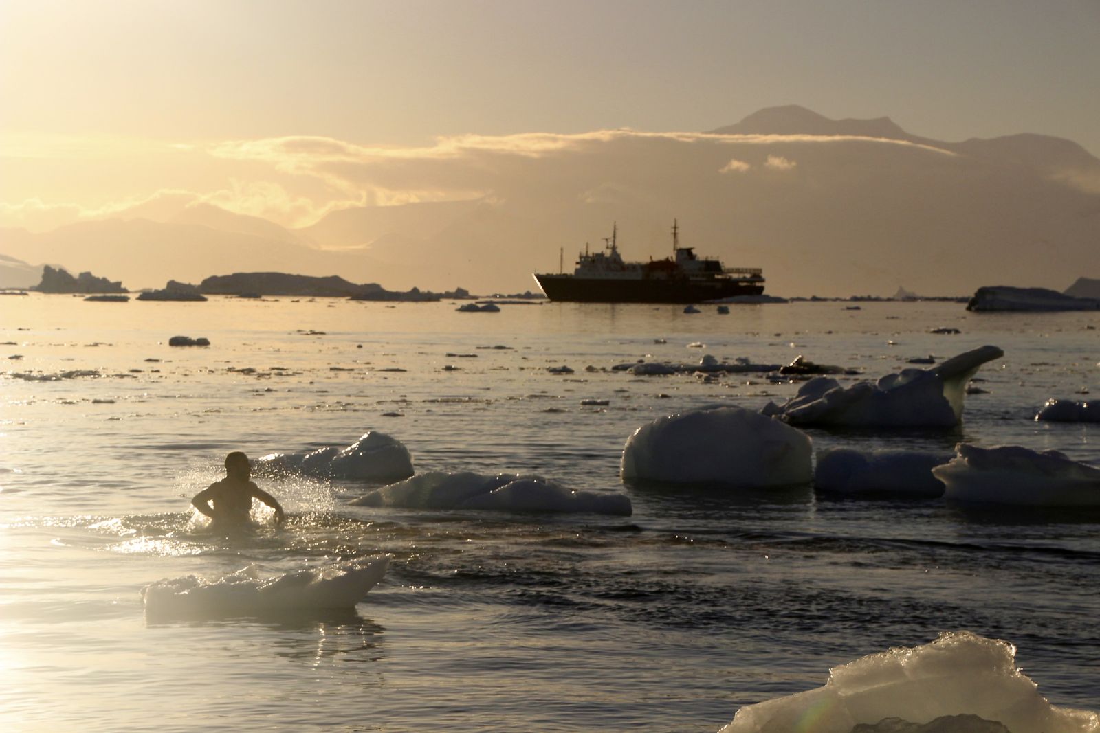 Polar Plunge – Baden in der Antarktis