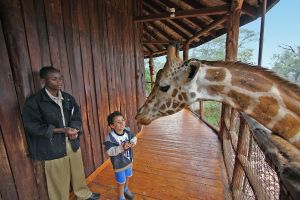 Besuch auf der Giraffenfarm bei Nairobi