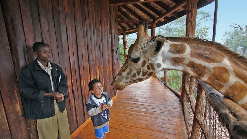 Besuch auf der Giraffenfarm bei Nairobi