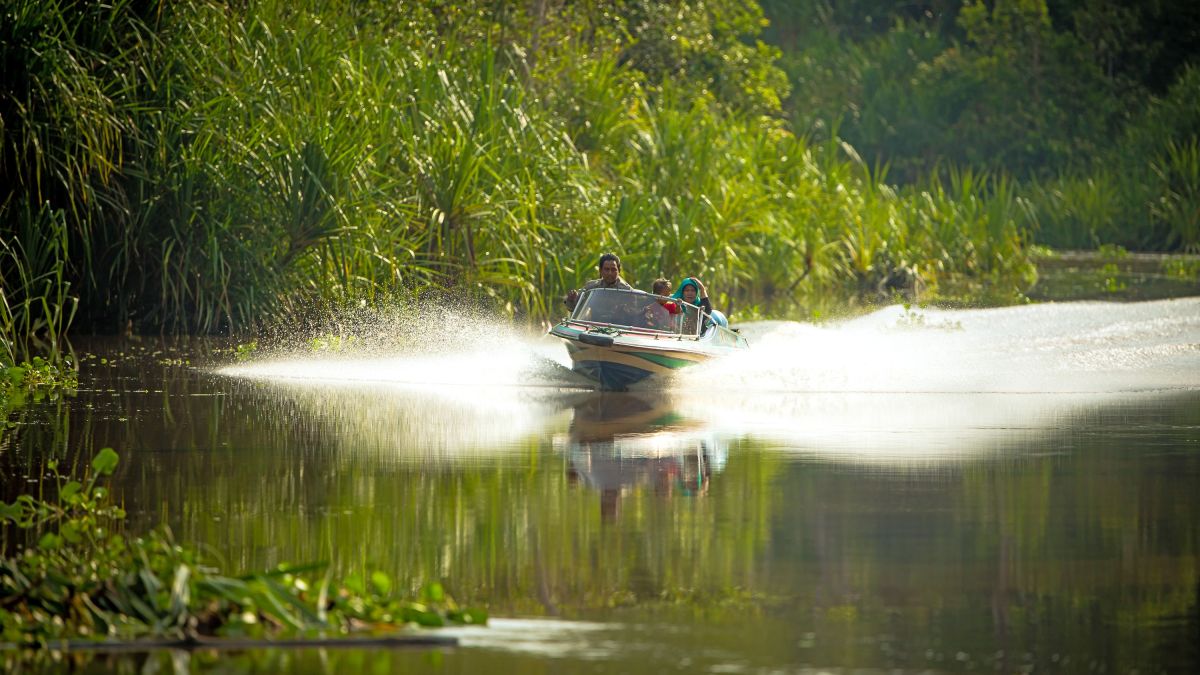Motorboot im Tanjung Puting NP