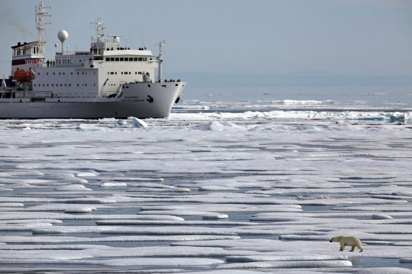 Eisbär vor Schiff in der Nordwest-Passage