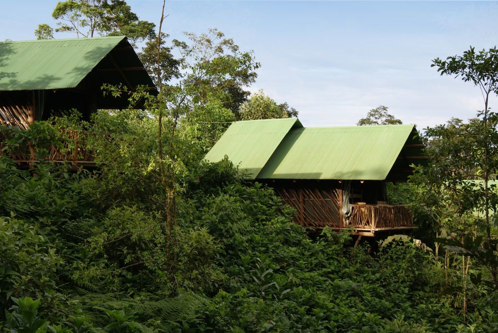 La Tigra Rainforest Lodge, Costa Rica
