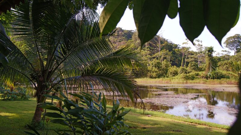 Maquenque Ecolodge in Boca Tapada, Costa Rica