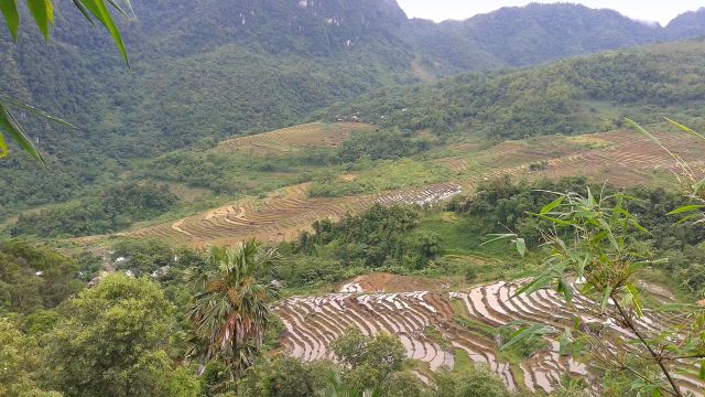 Blick auf Reisterrassen im Pu Luong Naturreservat