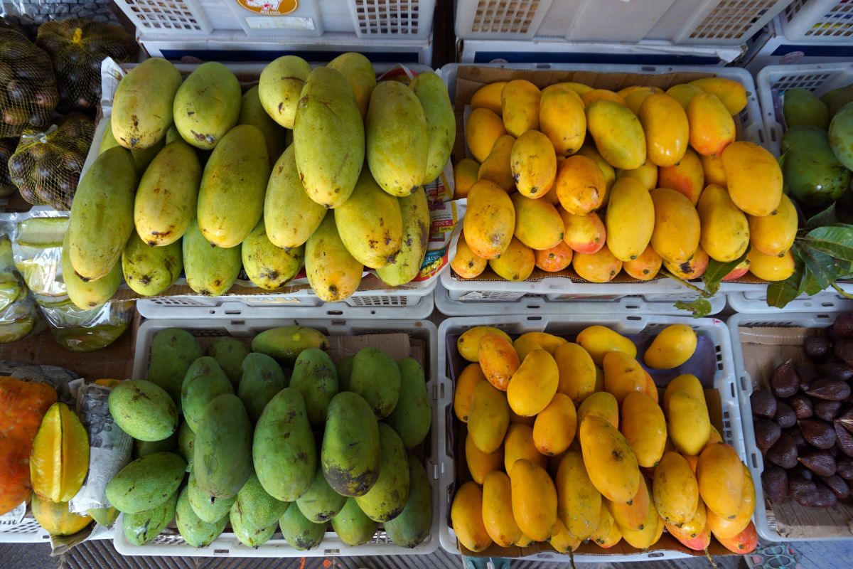 Mangos vom Straßenstand