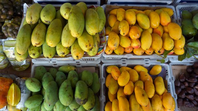 Mangos vom Straßenstand