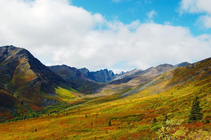Der Yukon in satten Herbstfarben © Diamir