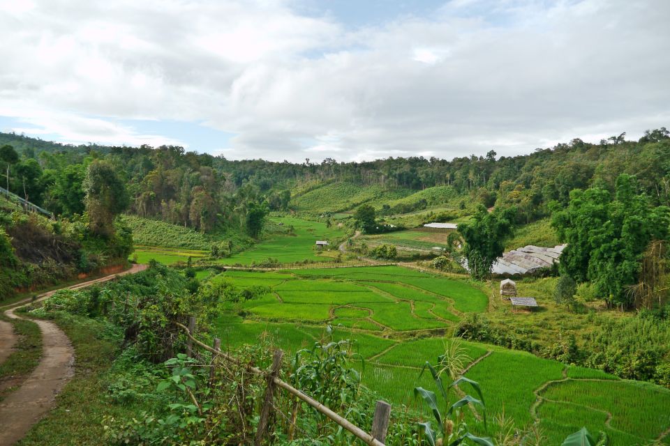 Trek entlang der Reisfelder in Nordthailand