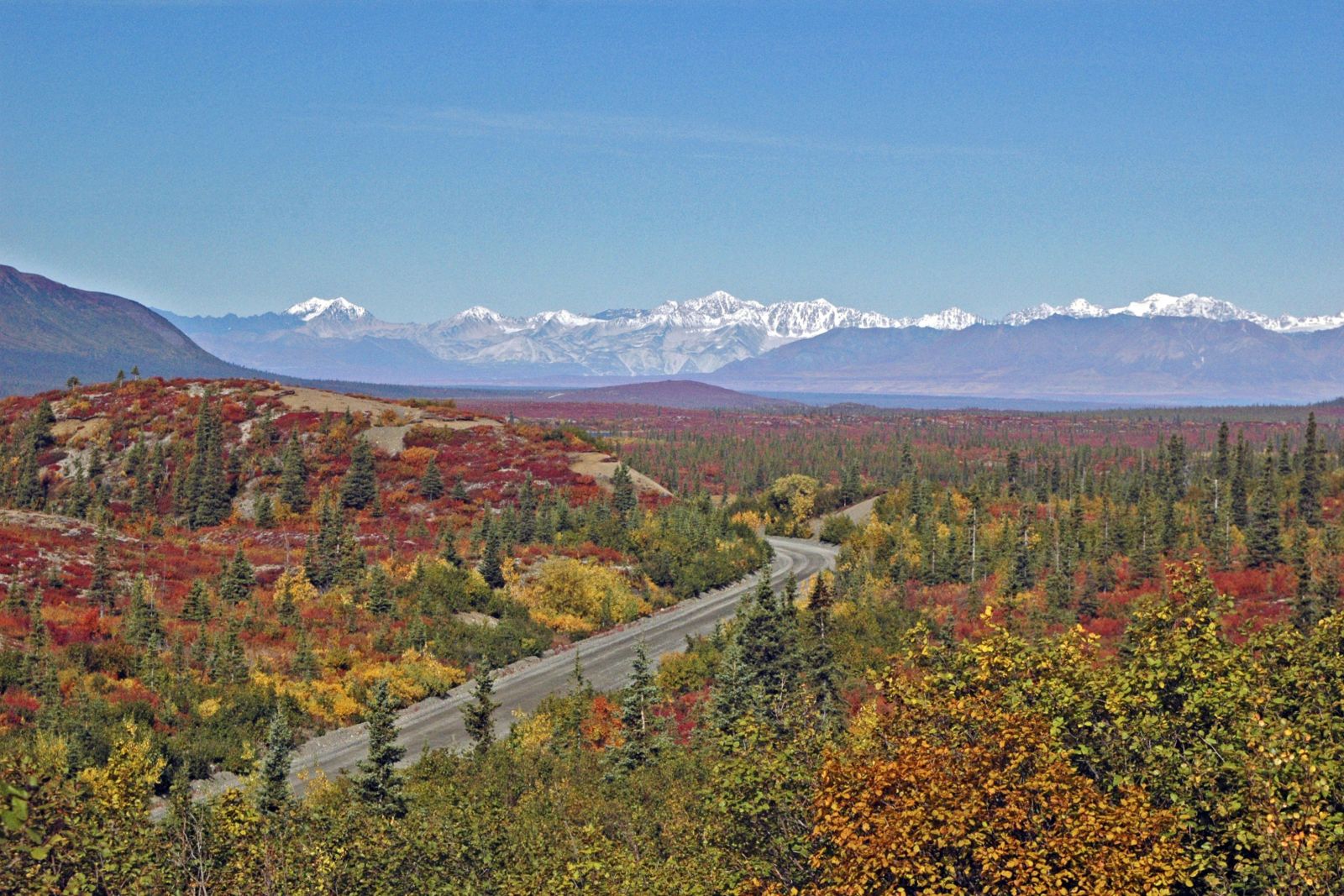 Alaskakette in leuchtenden Herbstfarben