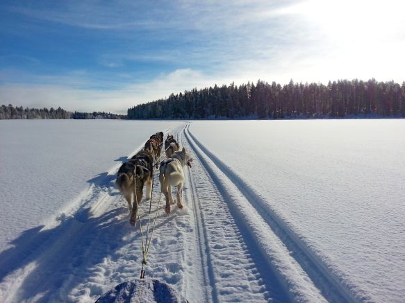 Durch das winterliche Lappland