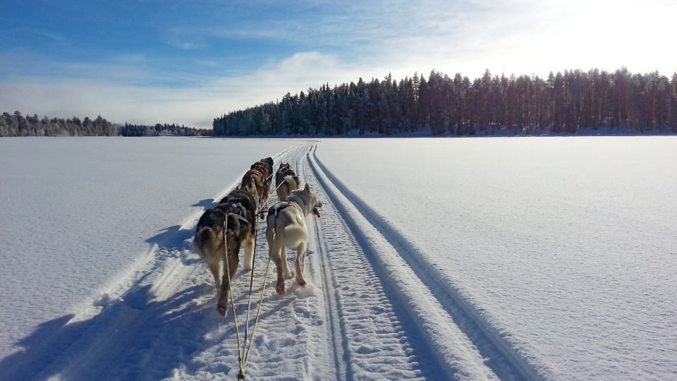 Durch das winterliche Lappland
