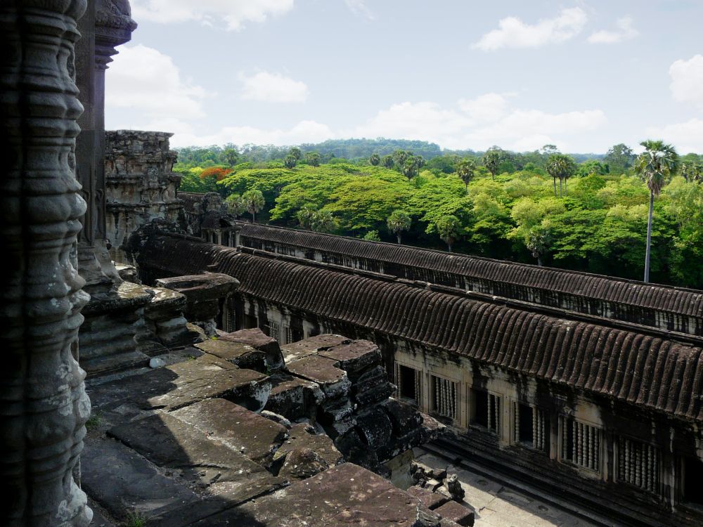 Blick von einem der Türme von Angkor Wat über den Dschungel