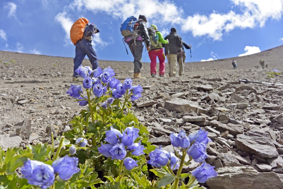Aufstieg von Nimaling zum Kongmaru La (5130 m)