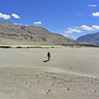 Nubra Valley, Sandünen zwischen Tirit und Lughzhun am Nubra-Fluss