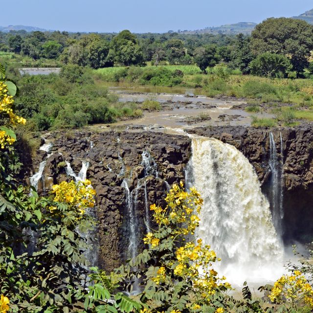 Wasserfälle des Blauen Nil nach der Regenzeit