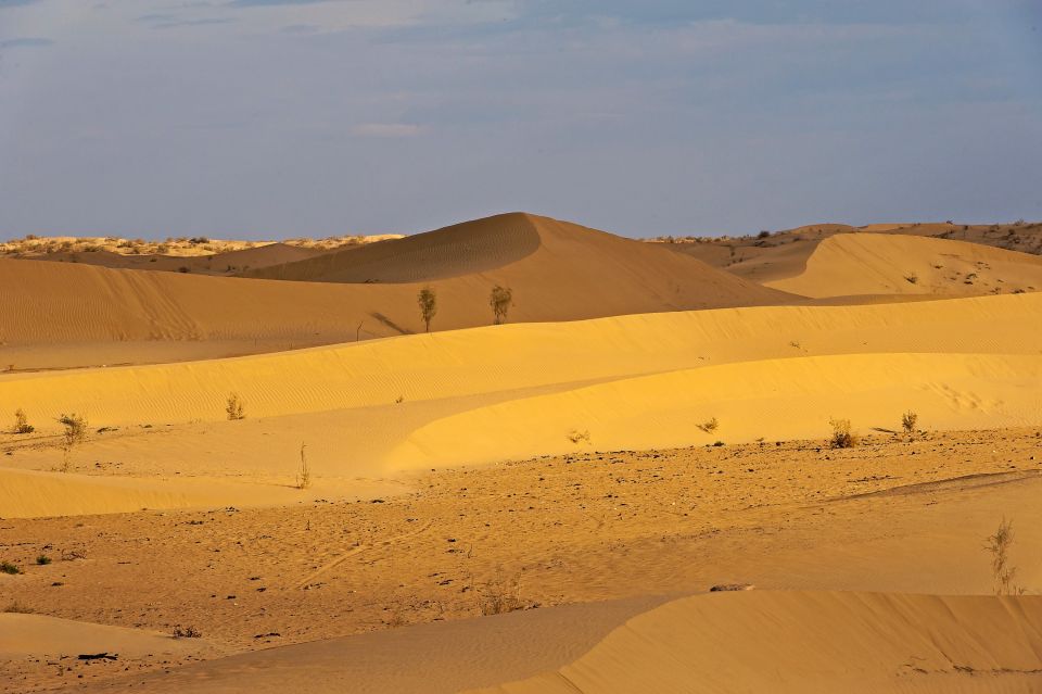 Dünenlandschaft Karakum