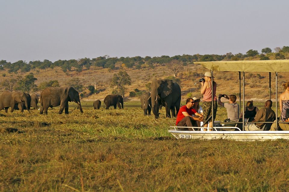Chobe: Bootsfahrt zu den Elefanten