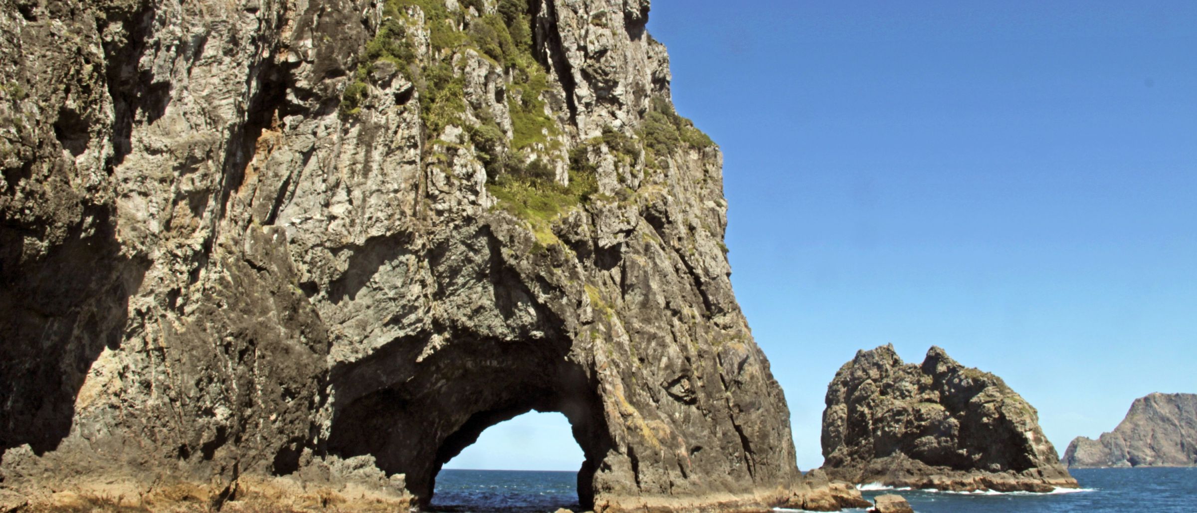 Der Elefant Rock in der Bay of Islands nahe Paiha auf der Nordinsel Neuseelands