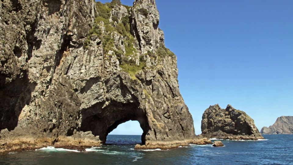 Der Elefant-Rock in der Bay of Islands nahe Paiha auf der Nordinsel Neuseelands