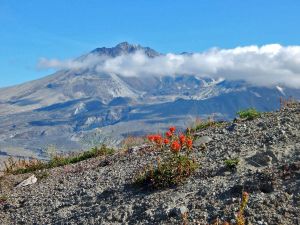 Das Überbleibsel des einst gewaltigen Vulkans Mount St. Helens