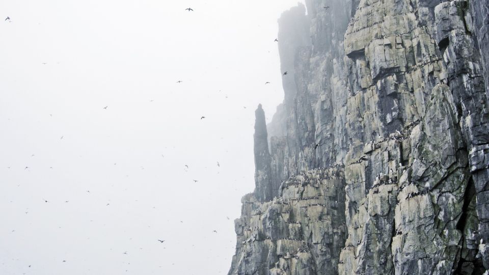 Mystische Stimmung am Vogelfelsen Alkefjellet