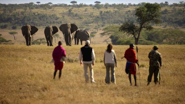 Auf Safari zu Fuß in der Masai Mara