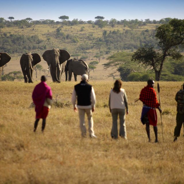 Auf Safari zu Fuß