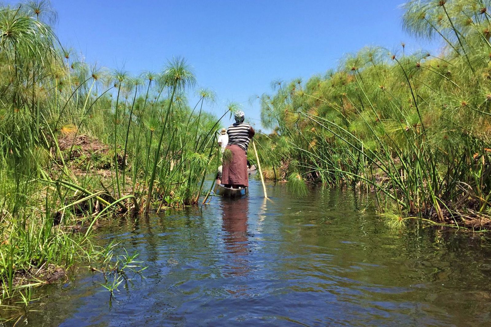 Okavango-Delta_Mokoro