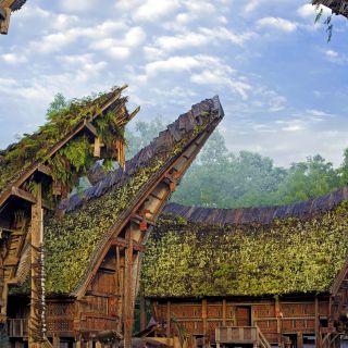 Tongkonan-Häuser in Toraja
