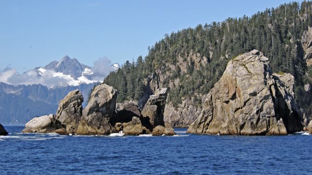 Eine Bootsfahrt durch den Kenai-Fjord bietet fantastische Landschaften