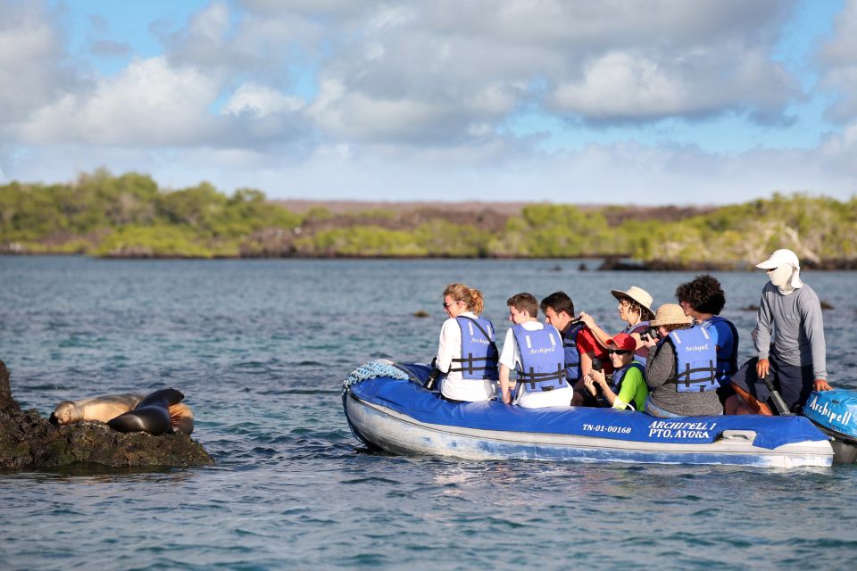 Ein typisches Galapagos-Erlebnis: Seelöwenbeobachtung aus 2 m Entfernung, ohne dass sich die Tiere gestört fühlen. Was für ein Erlebnis!