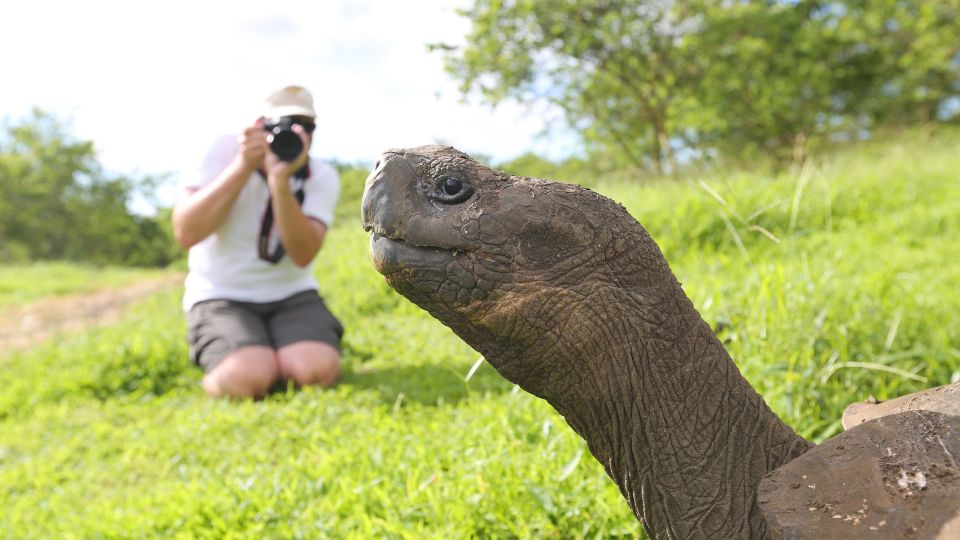 Schildkröten kann man hier aus allen Lagen, Blickwinkeln, Standpunkten fotografieren und bestaunen. Und die Zeit sitzt nicht im Nacken. Hier kann man ganztägig auch auf eigene Faust zum Fotografieren Zeit verbringen. Geheimtipp!