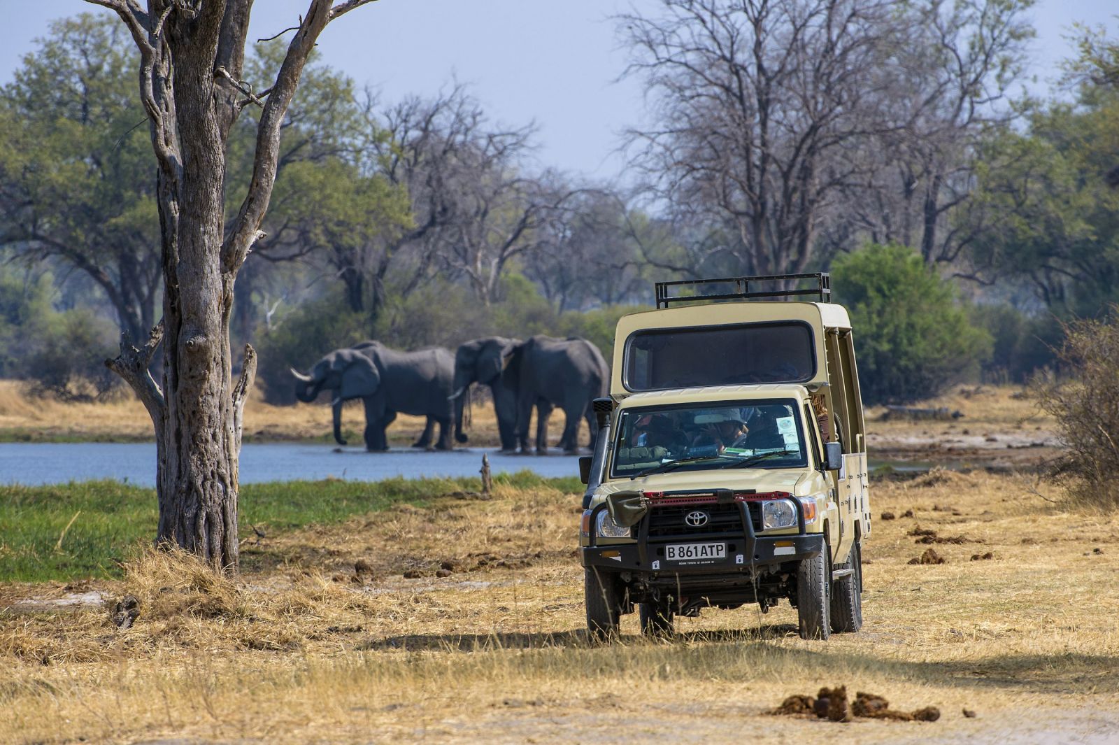 Okavango полный привод. Ботсвана сафари. Парк Этоша в Африке. Парк в Ботсване. Джип сафари Кения.