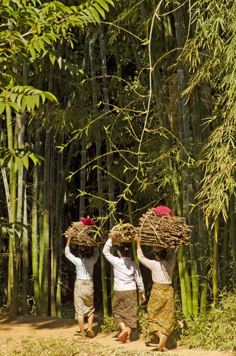 Wanderung durch Bambuswälder am Inle-See