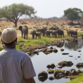 Eine Elefantenherde wurde am Ruaha Fluss entdeckt