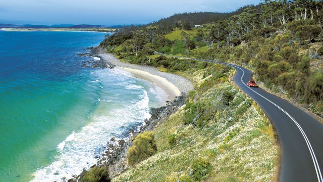 Tasmaniens Küste
